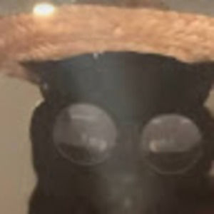 Meet your Posher, Butters